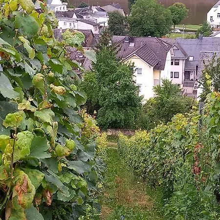 Fachwerk-Romantik 1 An Der Mosel Treis-Karden Exterior photo